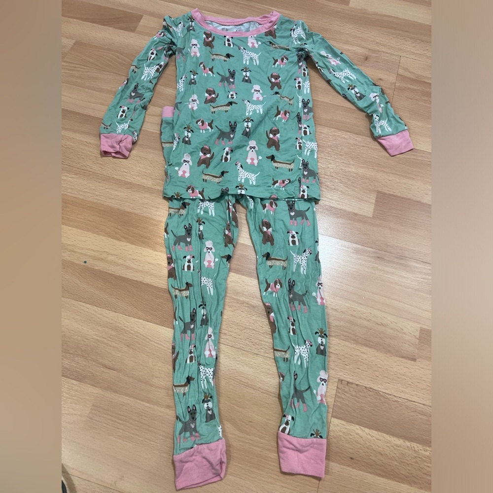 Teal dog print 2-piece